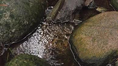 山涧山间泉水溪流小溪视频的预览图